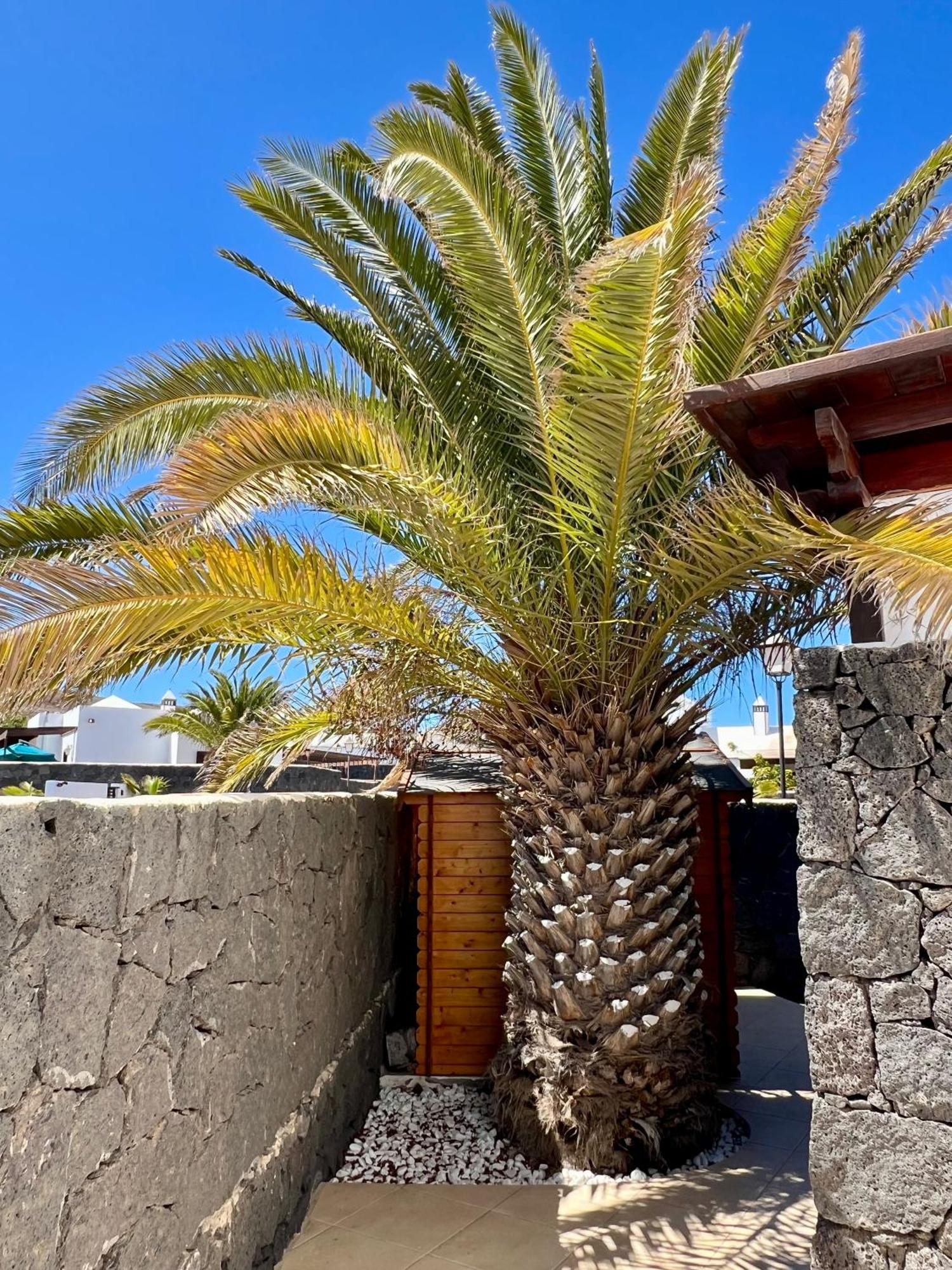 Villa Atienza 99 Playa Blanca  Exterior photo